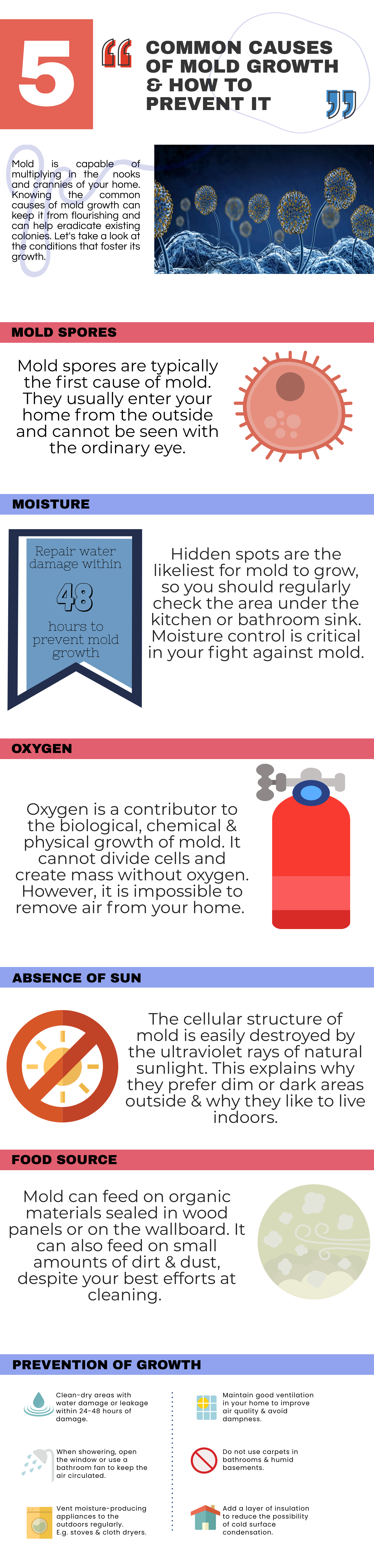 5 common causes of mold growth and how to prevent it inforgraphic