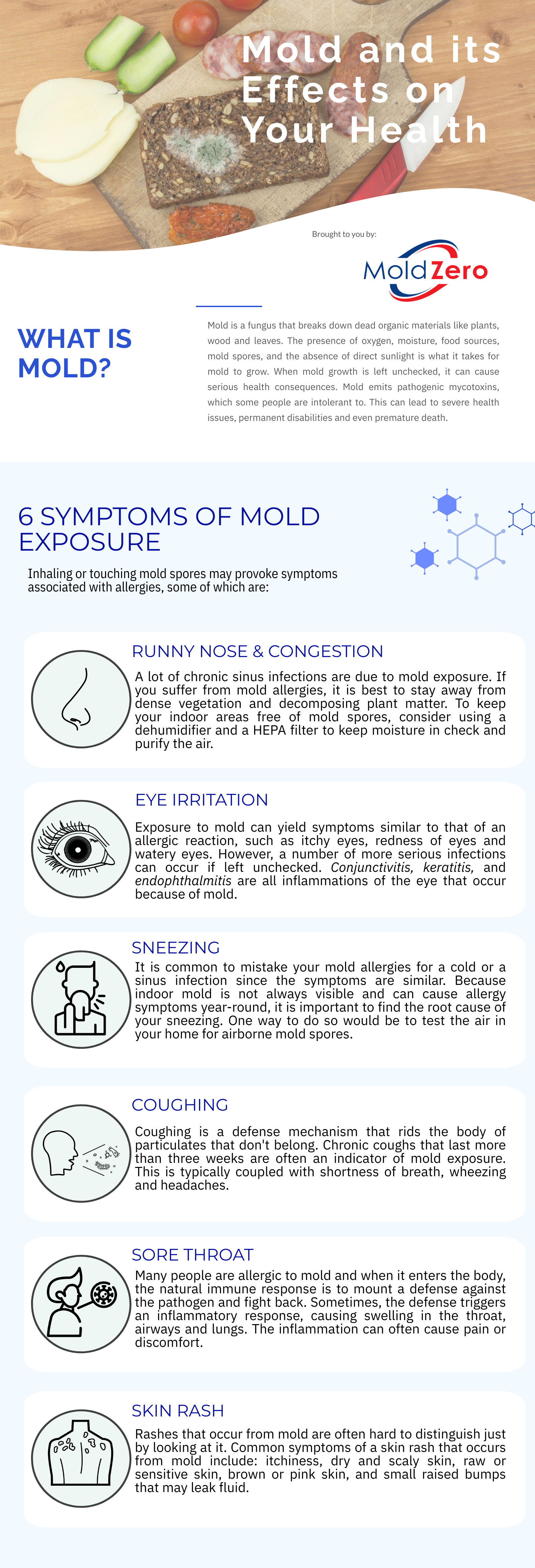 WHAT ARE THE 6 SYMPTOMS OF MOLD EXPOSURE INFOGRAPHIC