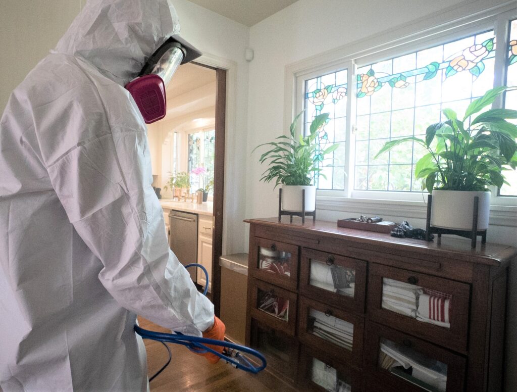 california mold expert in a house removing mold