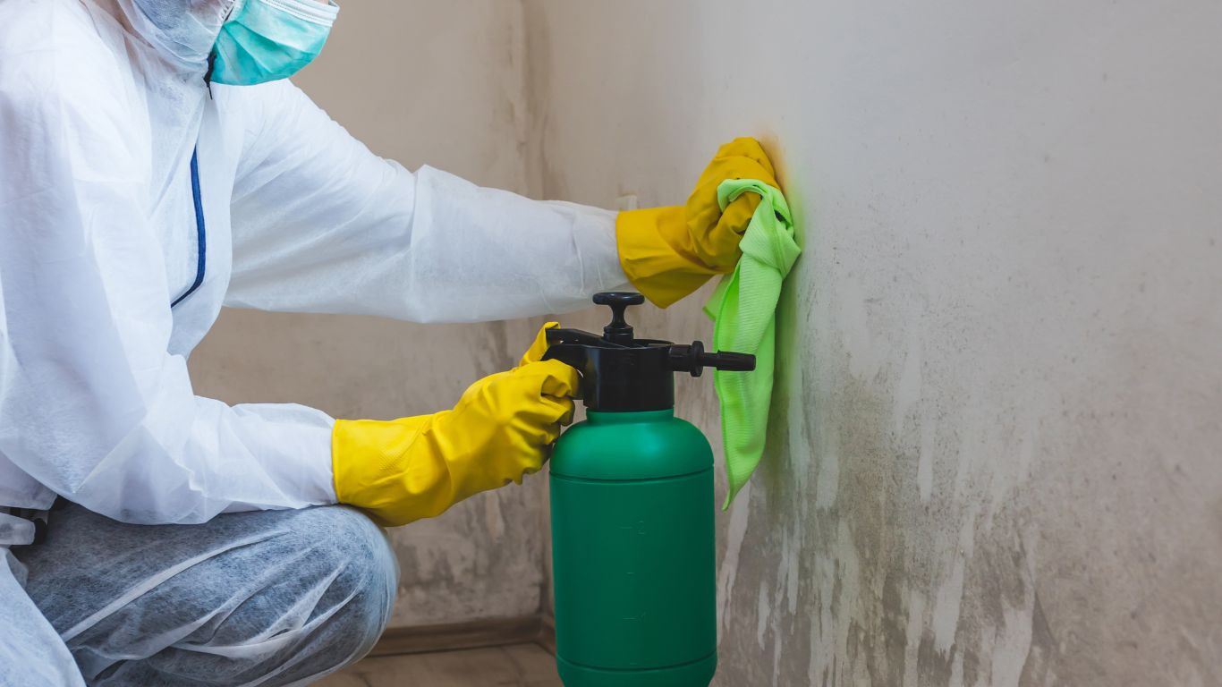 worker removing mold using rag and spray bottle