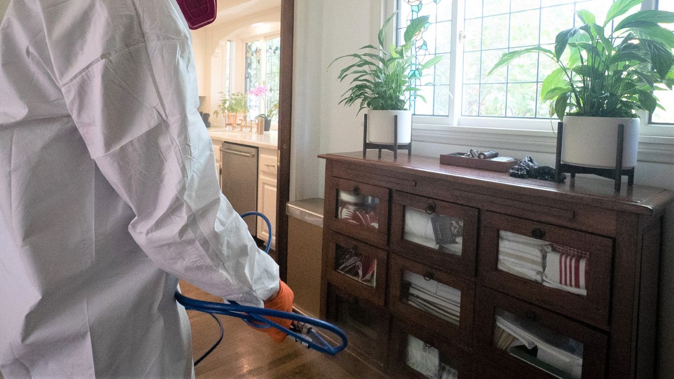 mold professional in white suit removing mold in living room