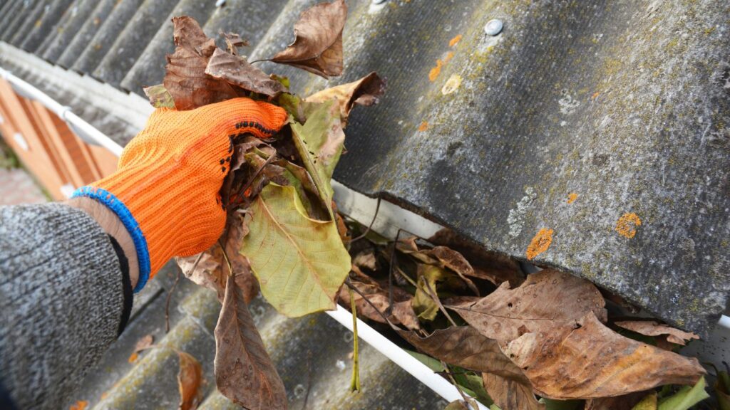 removing Autumn leaves