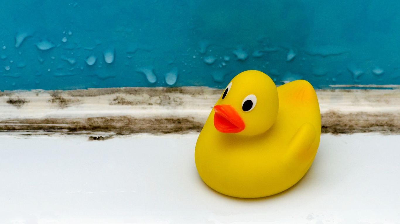 rubber ducky next to bathroom mold