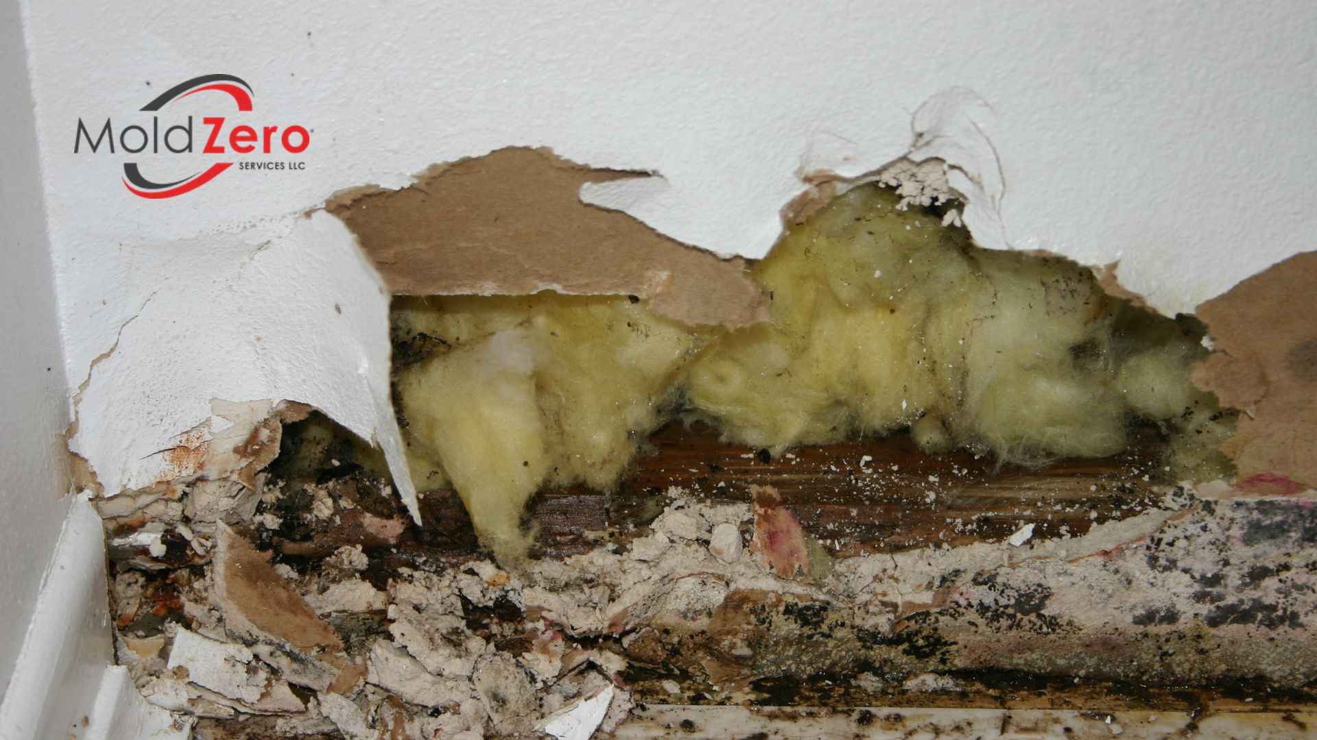 mold causing structural wall damage