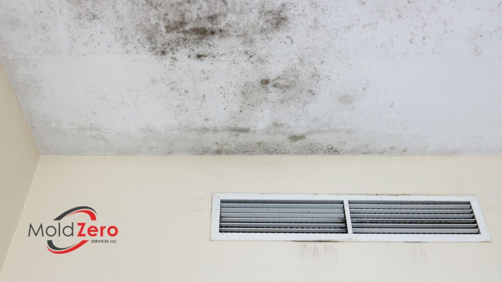 mold on walls growing next to the vents