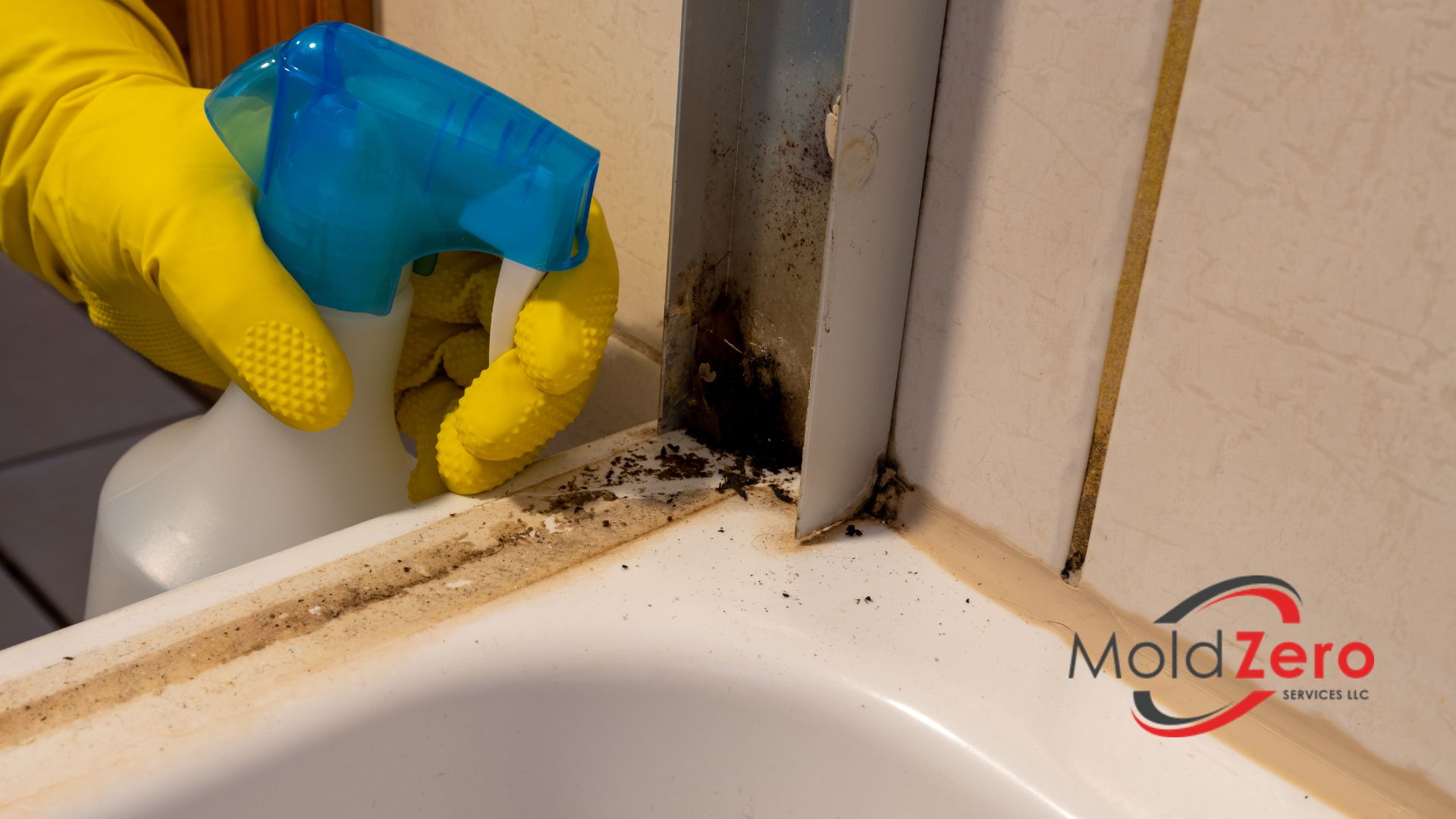 removing mold from a bathroom