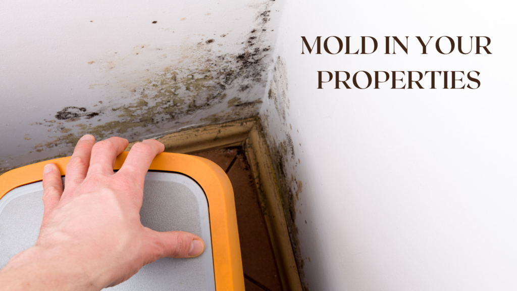 Mold remediation