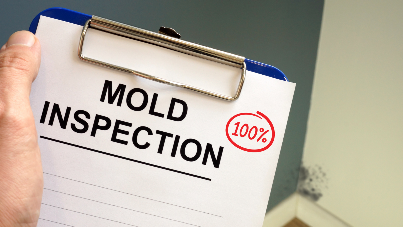mold remediation