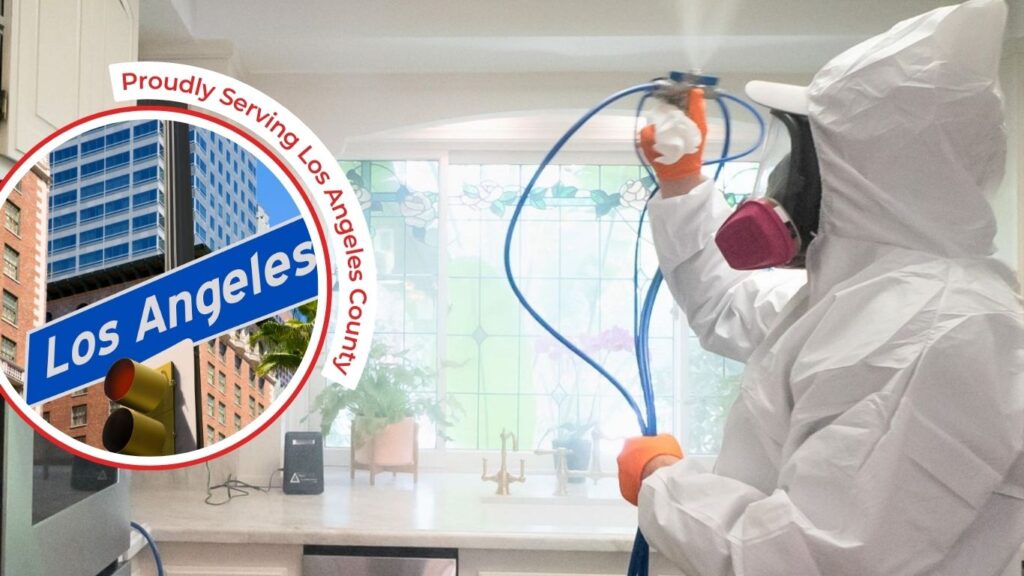 Los angeles mold expert doing mold remediation and mold removal using fogging