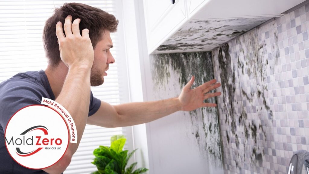 man confused why how mold can return after remediation