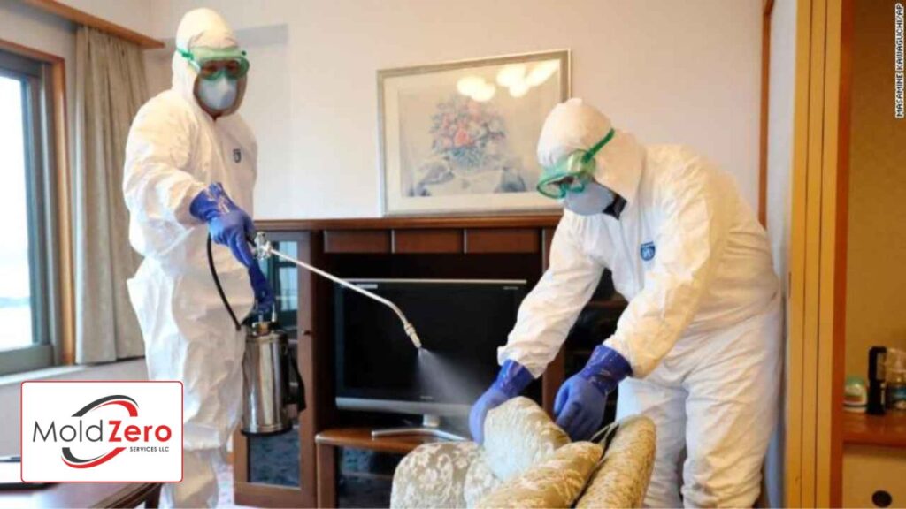 two mold removers sparying a living room