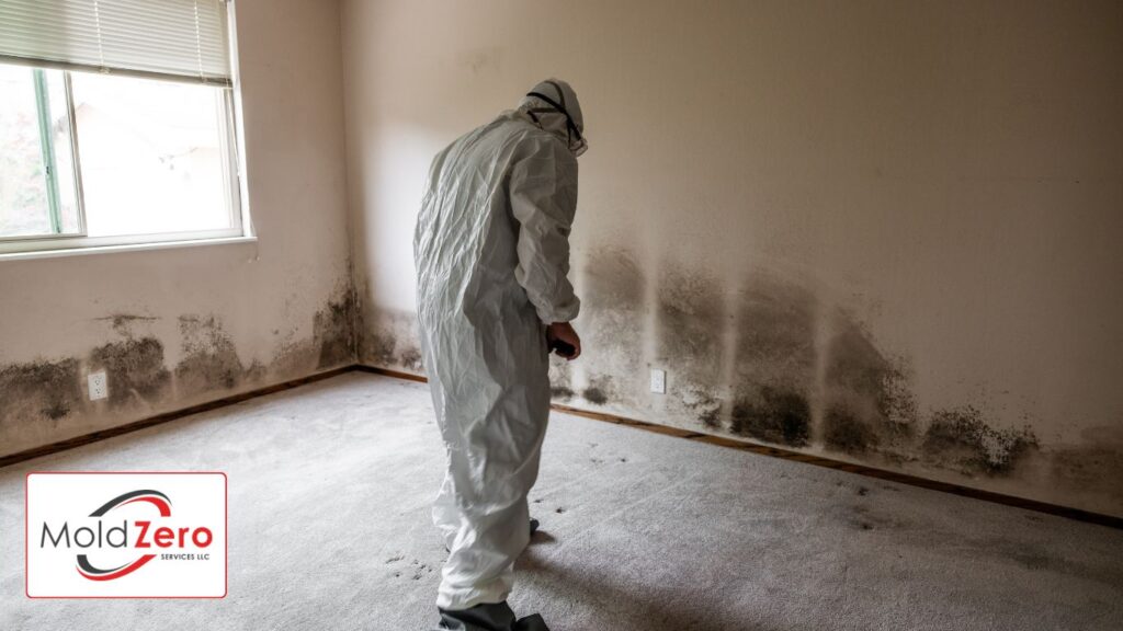 Home Mold Remediation