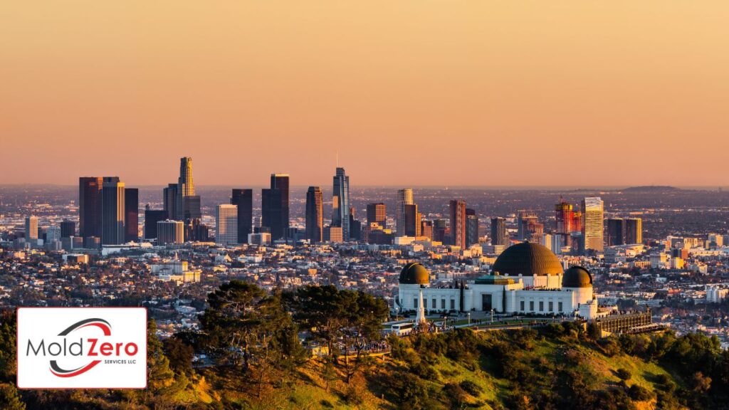 Los Angeles at sunset