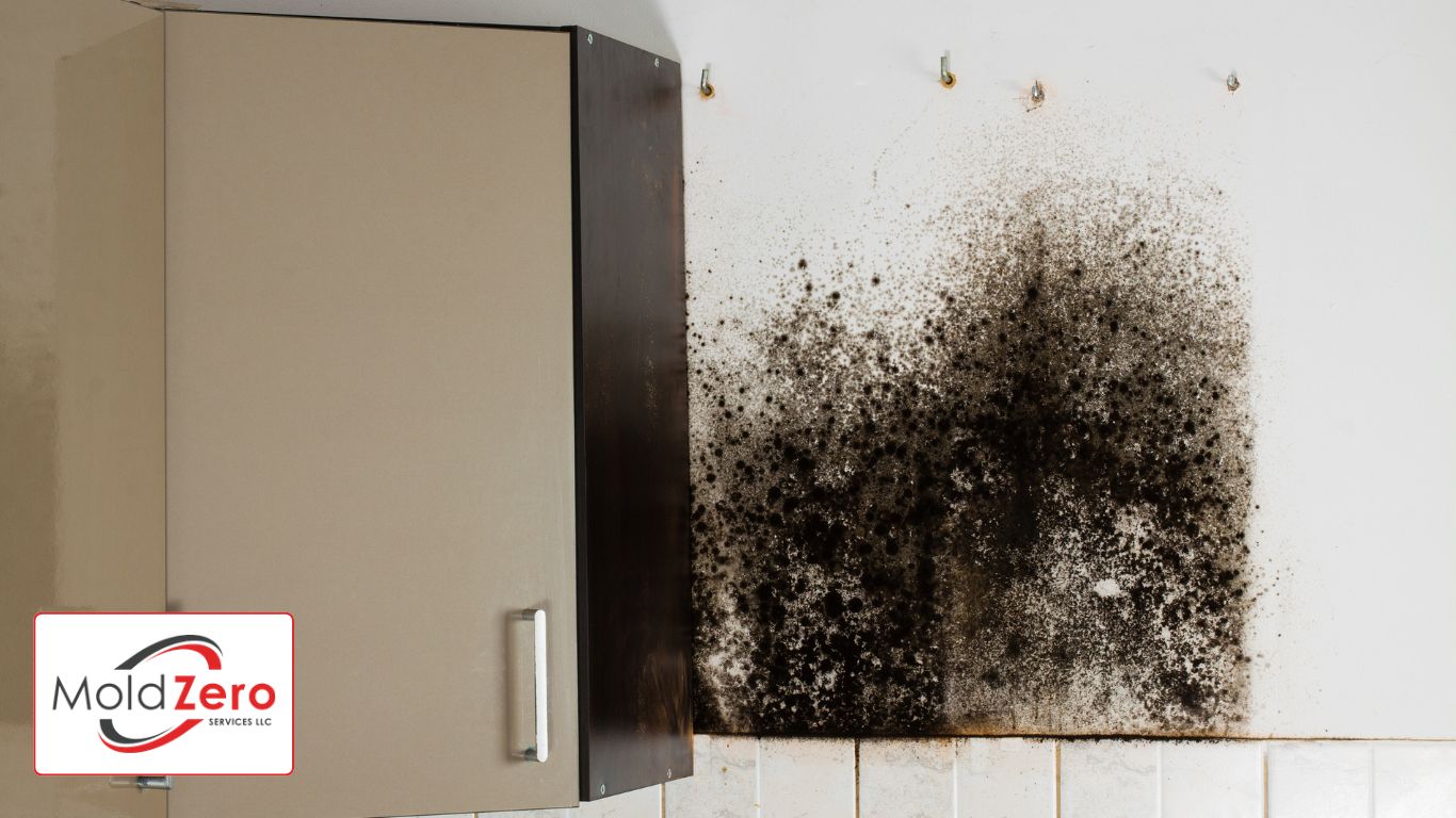 Mold behind kitchen cabinets