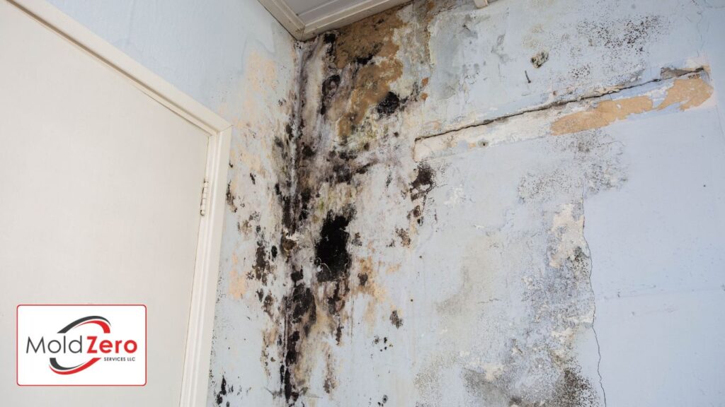 Water damage causing mold growth on the interior walls of a property