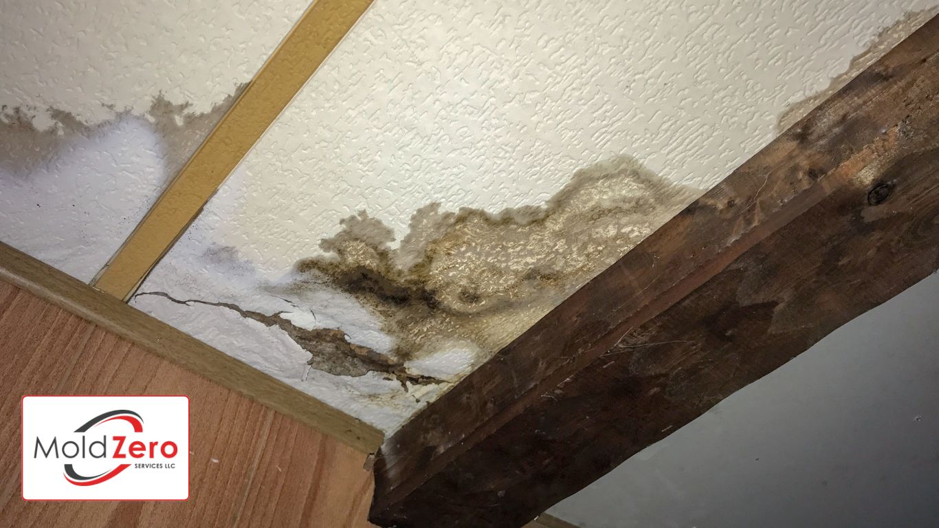 Water damaged molding ceiling