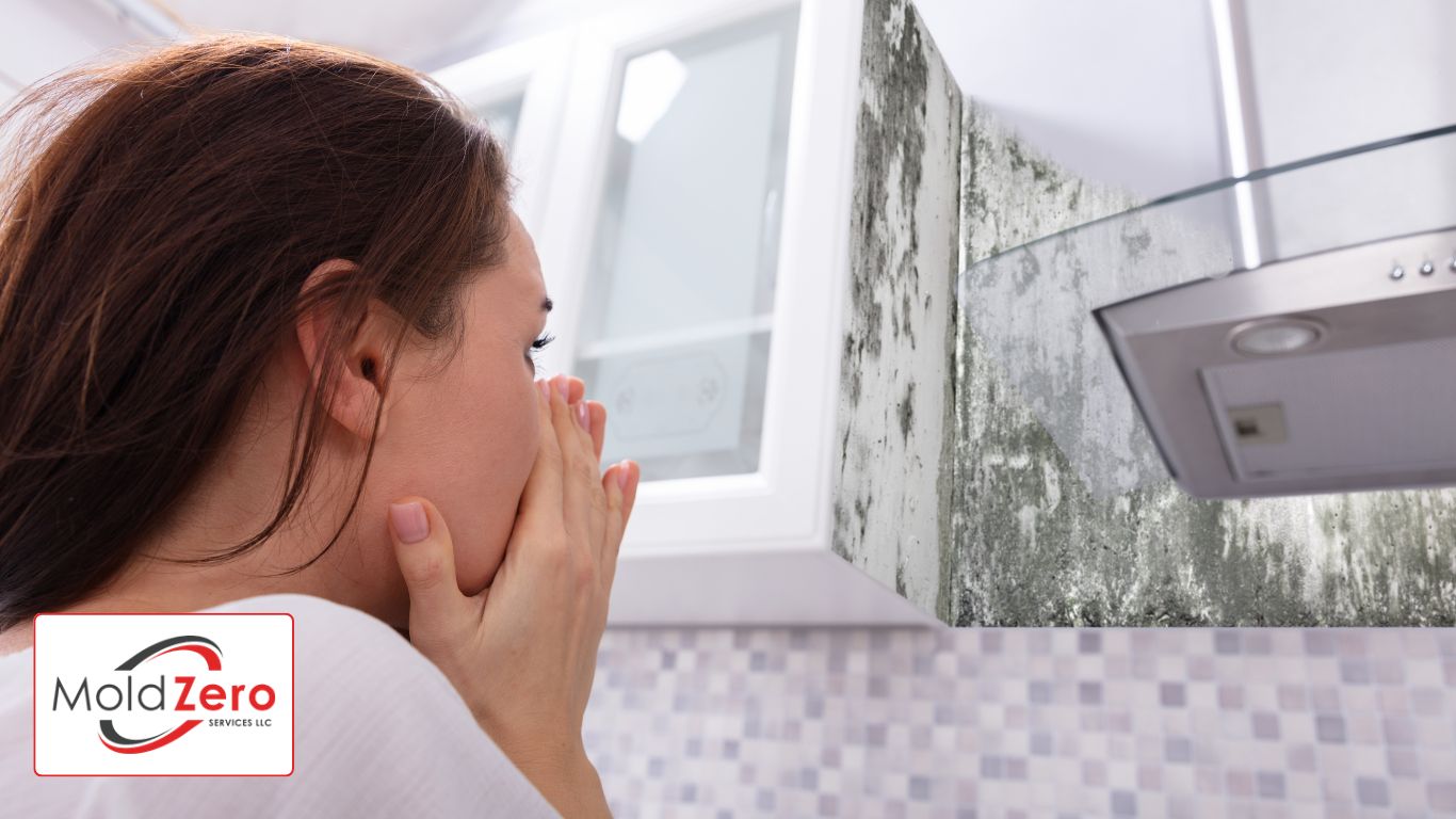 Woman Looking At Mold On Wall