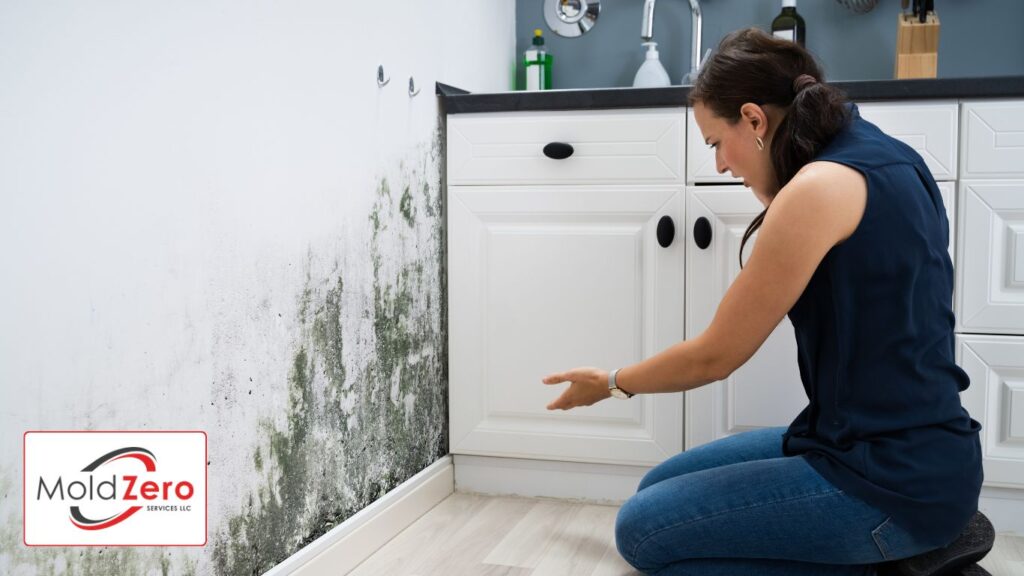 Woman Looking At Mold Wall Damage