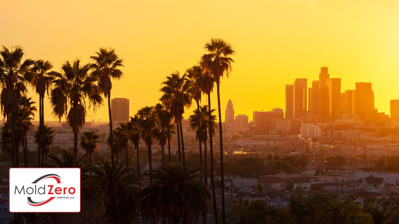 los angeles sunset