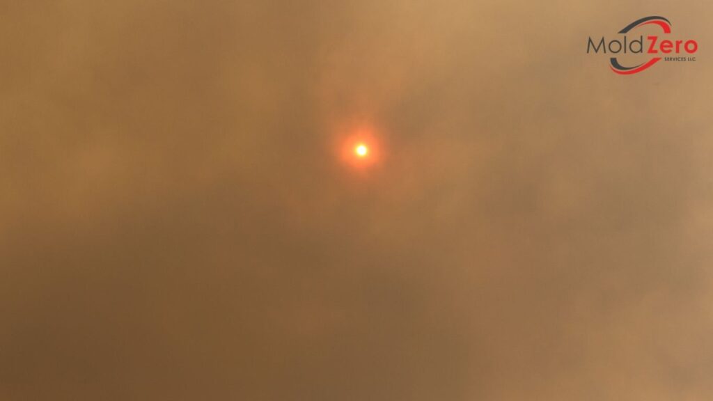 The sun is seen in the smoke of a wildfire