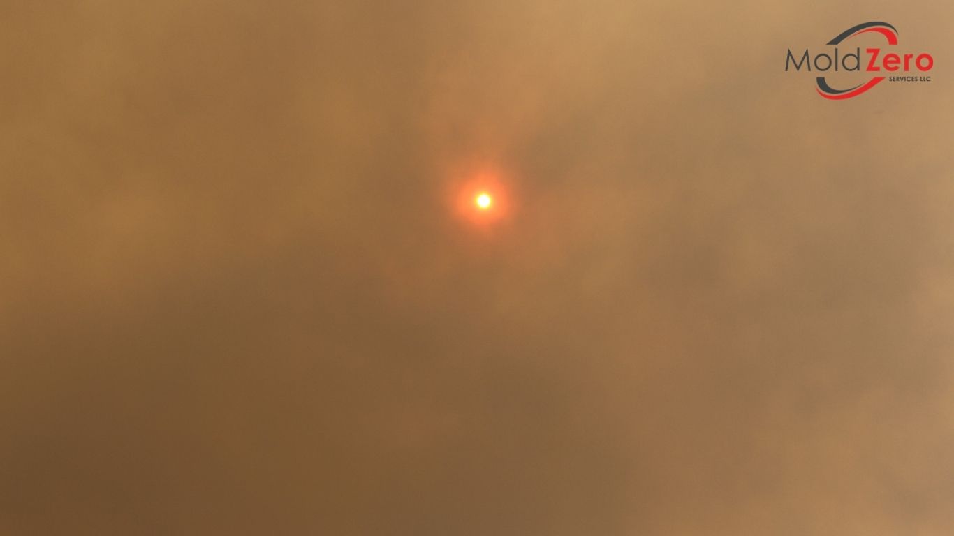 The sun is seen in the smoke of a wildfire