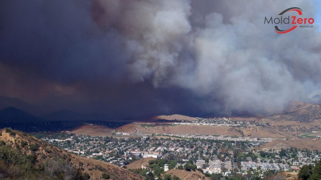 a large plume of smoke is seen over a city