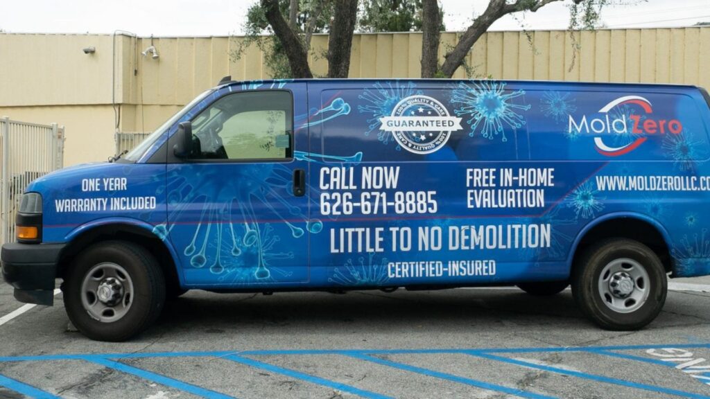 mold-zero-employee-at-work