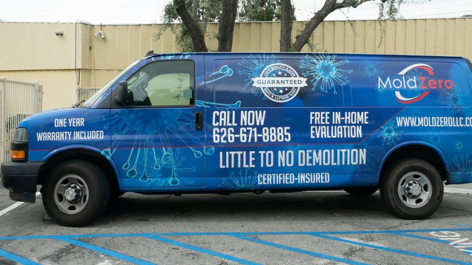 mold-zero-employee-at-work
