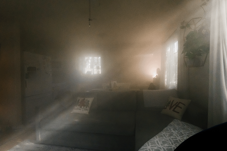 fogging mold removal process