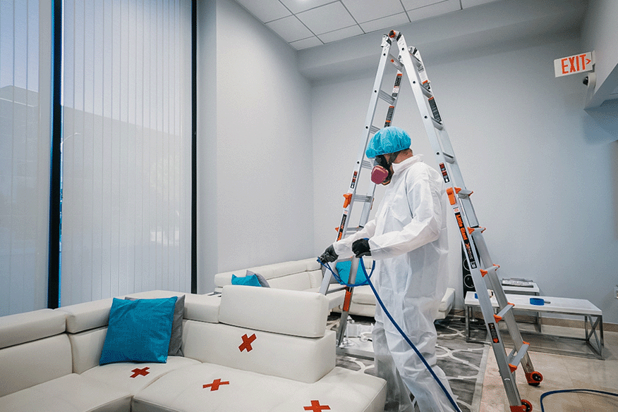 commercial mold remediation Los Angeles