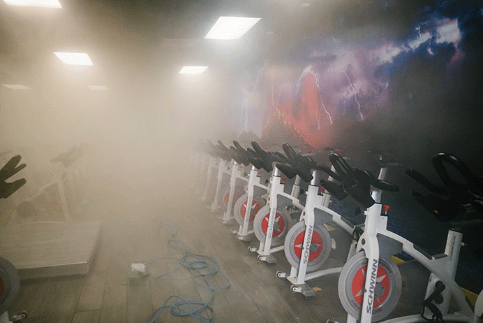 commercial mold remediation Los Angeles