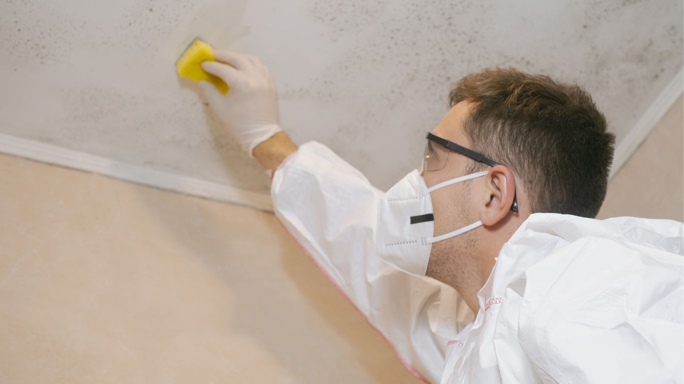 Commercial building interior mid-remediation with containment and equipment