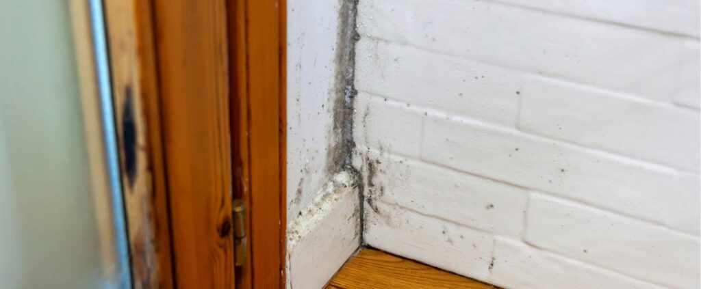 Home mold