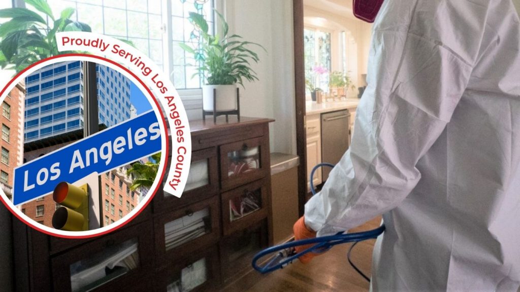 Mold inspection Los Angeles technician checking a wall for hidden moisture